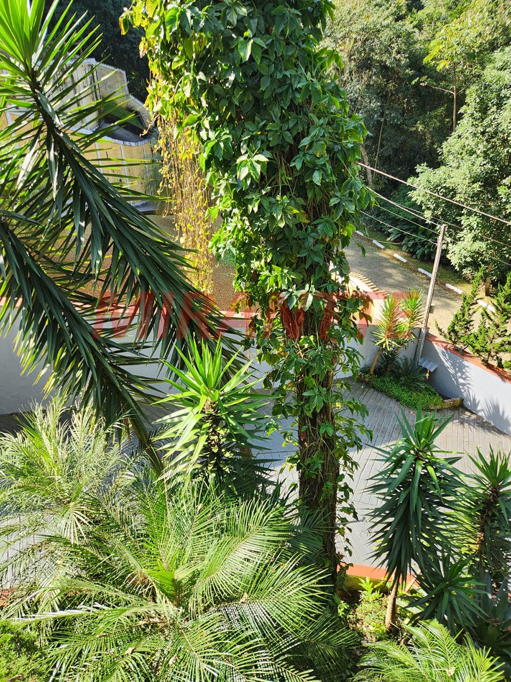 Casa terrea de 350m² com 2 quartos em Caieras