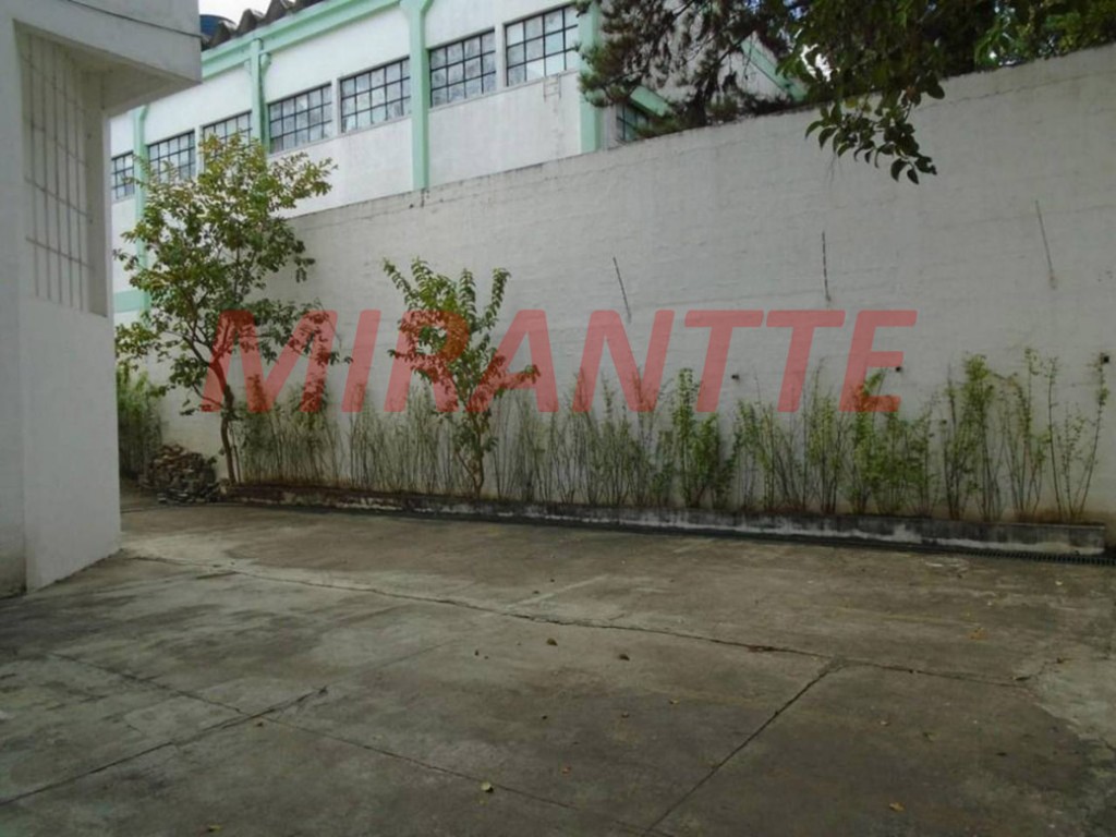 Galpao em Vila Sofia