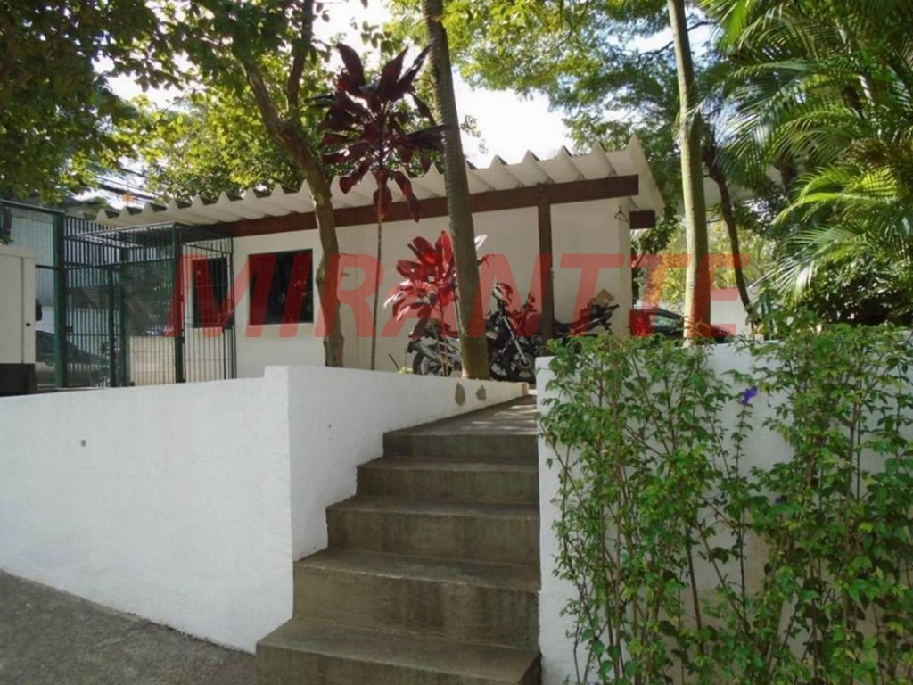 Galpao em Vila Sofia