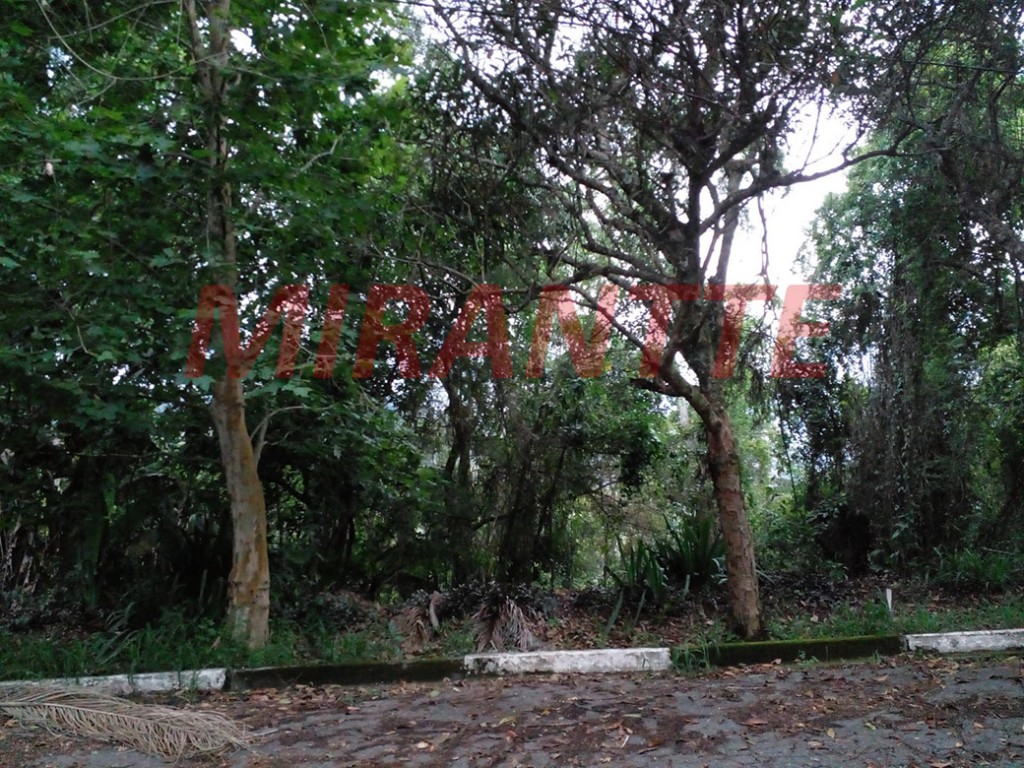 Terreno de 1802m² em Serra Da Cantareira