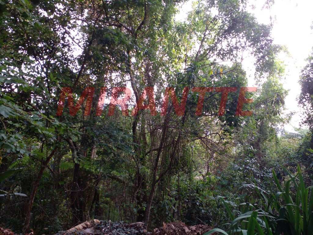 Terreno de 1802m² em Serra Da Cantareira