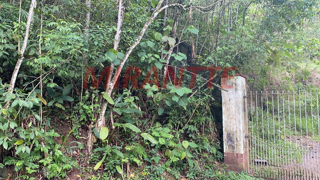 Terreno de 1500m² em Serra da Cantareira