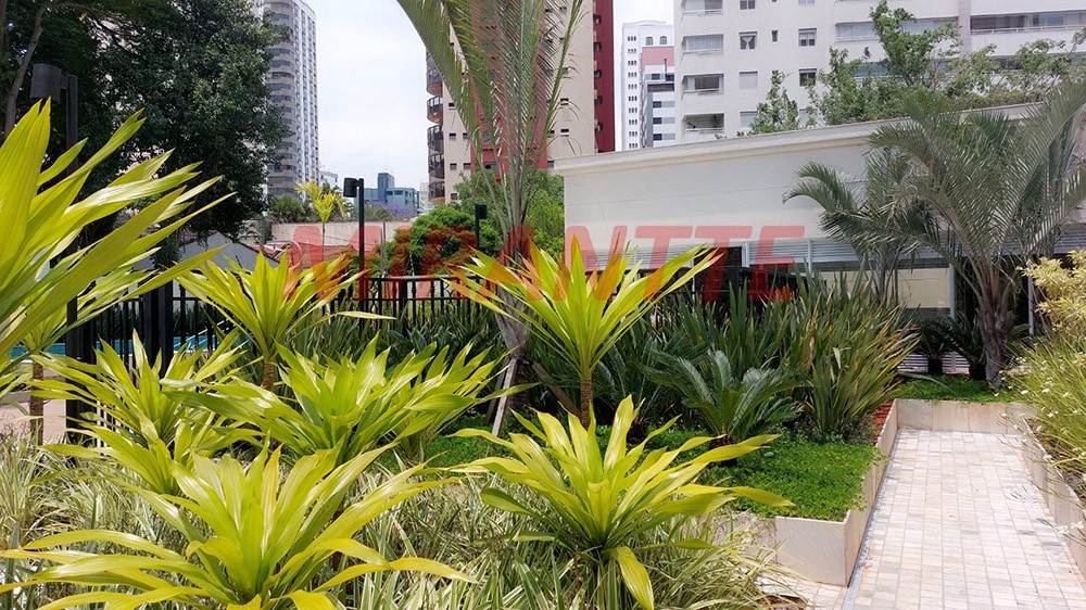 Apartamento de 255m² com 4 quartos em Santana