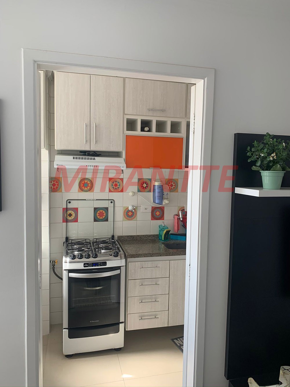 Apartamento de 40m² com 2 quartos em Lauzane Paulista