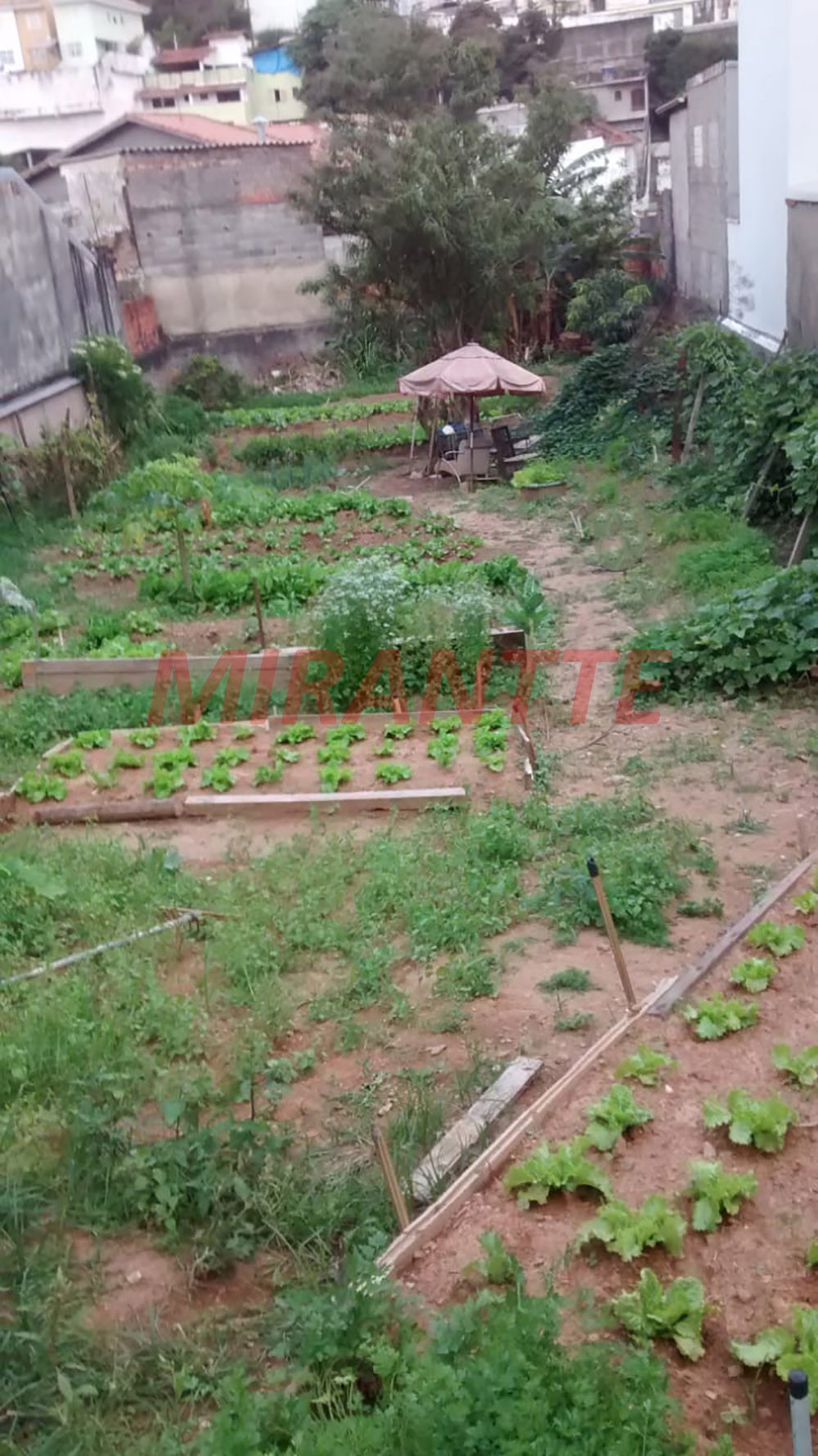 Terreno de 484m² em Vila Rosa
