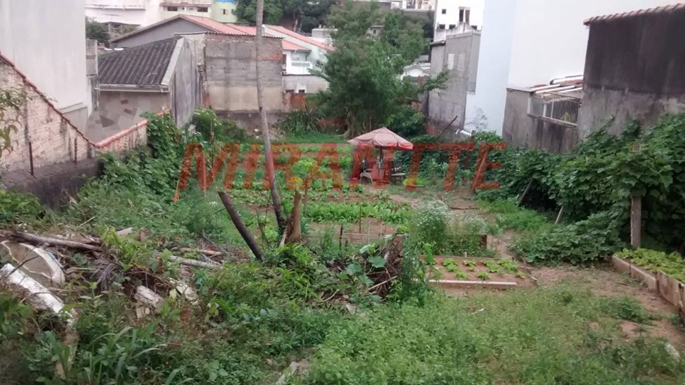 Terreno de 484m² em Vila Rosa