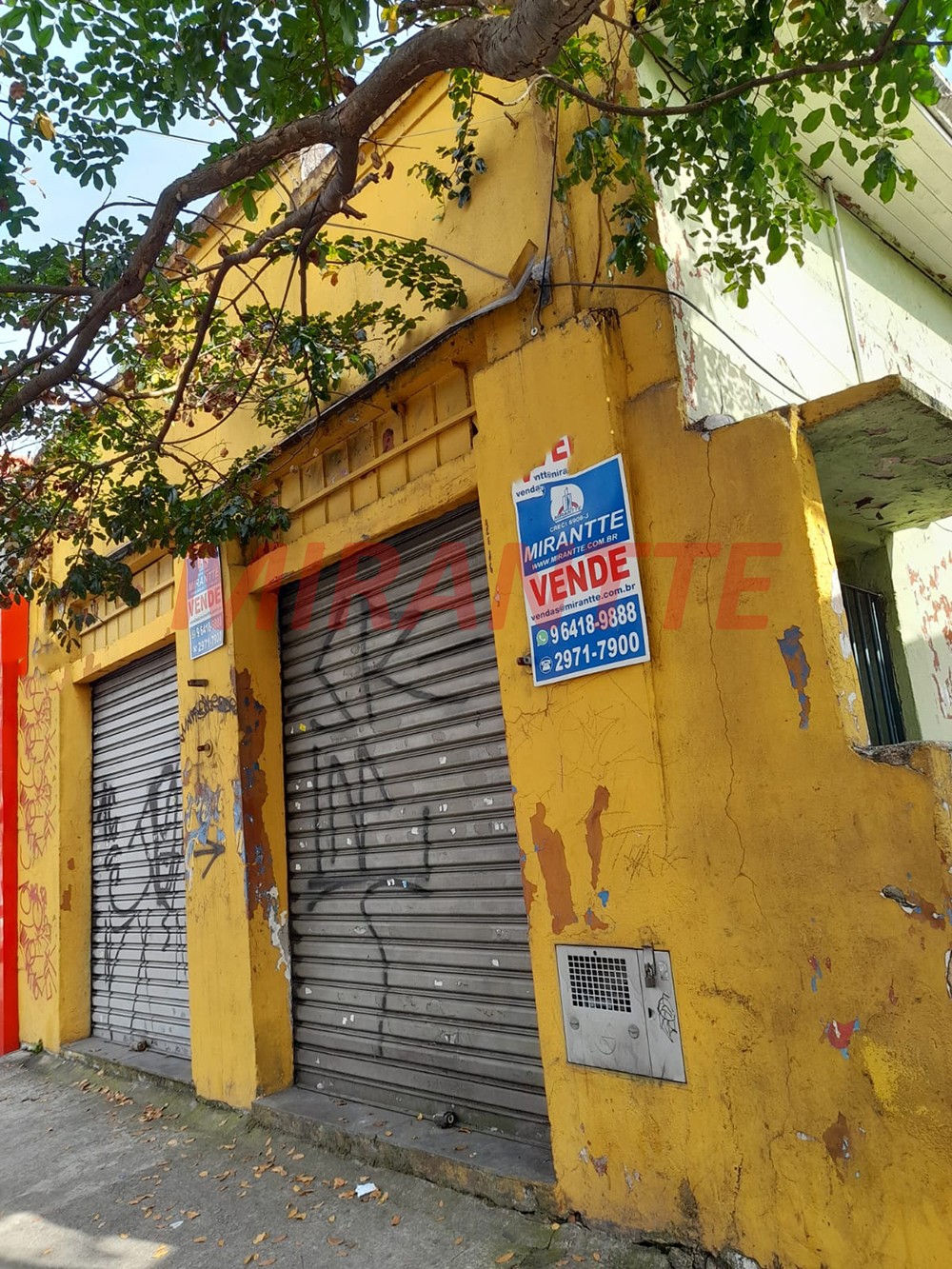 Casa terrea de 300m² com 3 quartos em Vila Gustavo