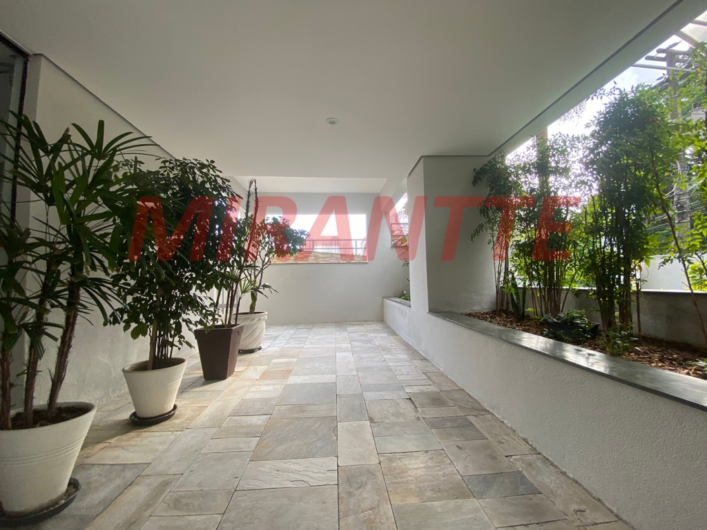 Apartamento com 2 quartos em Mandaqui