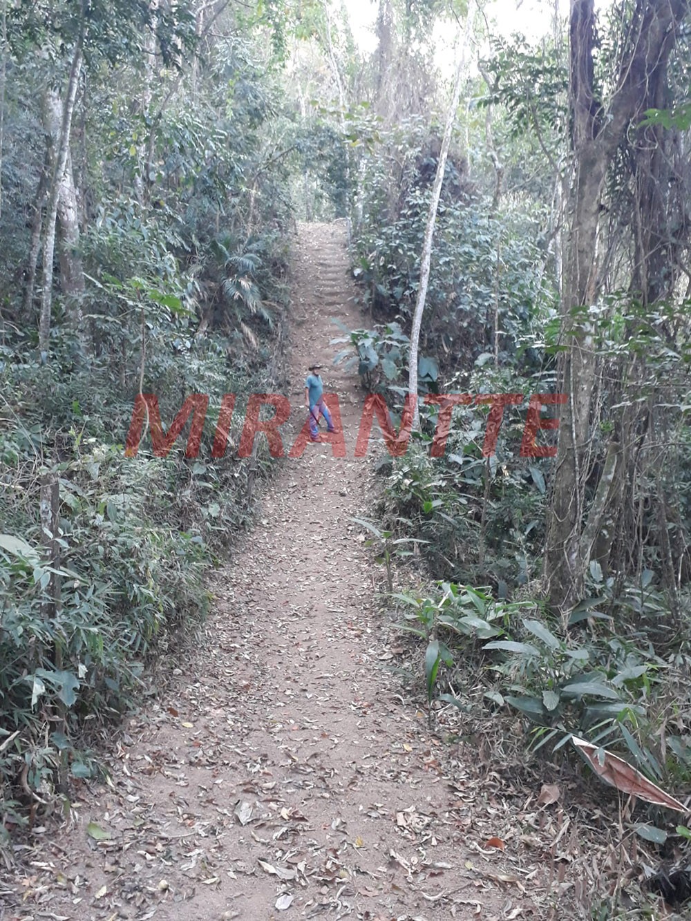 Terreno de 304m² em Serra Da Cantareira