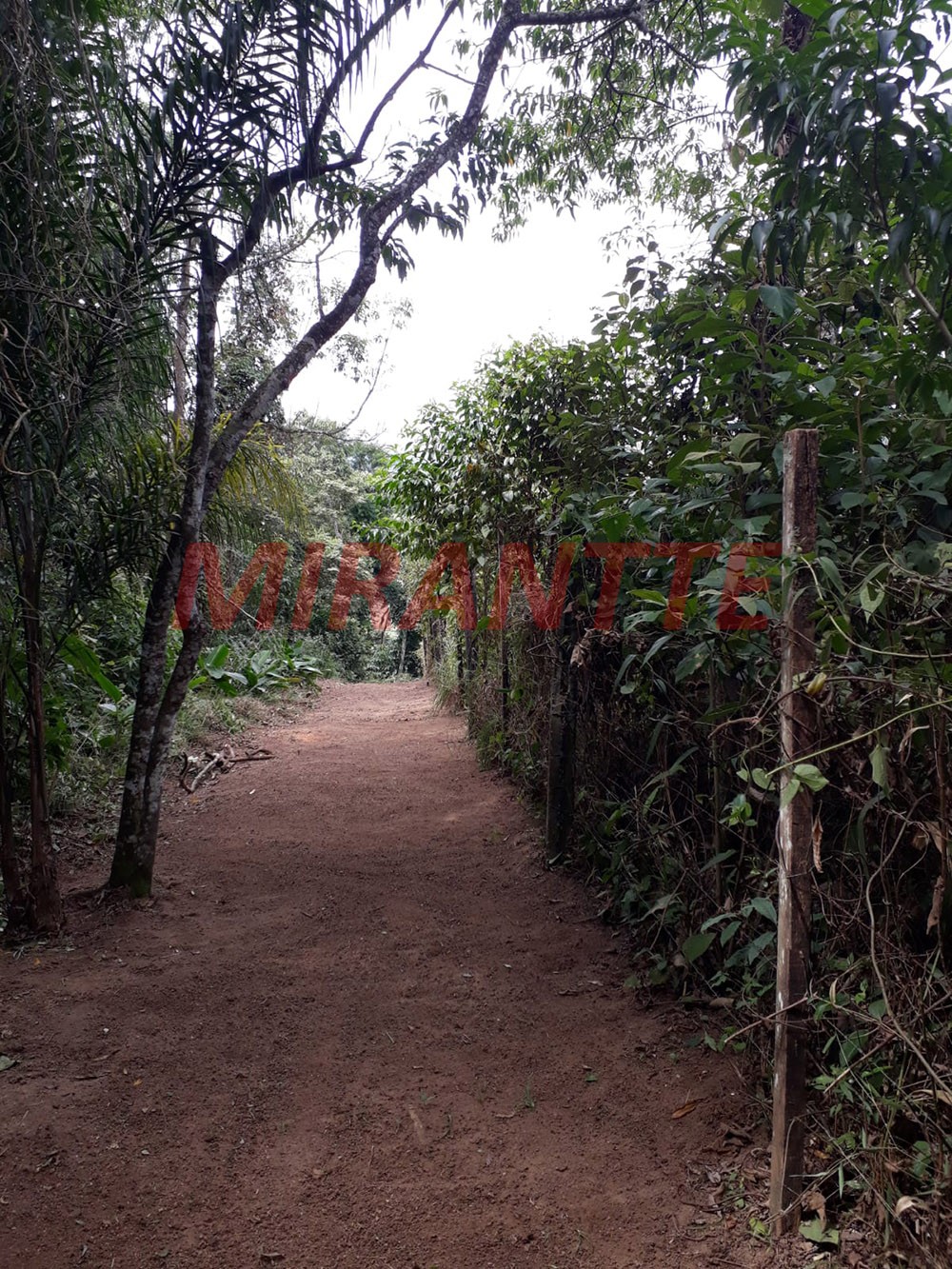 Terreno de 304m² em Serra Da Cantareira