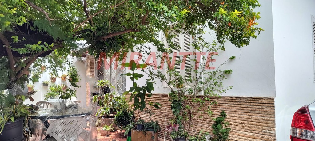 Terreno de 250m² em Pirituba