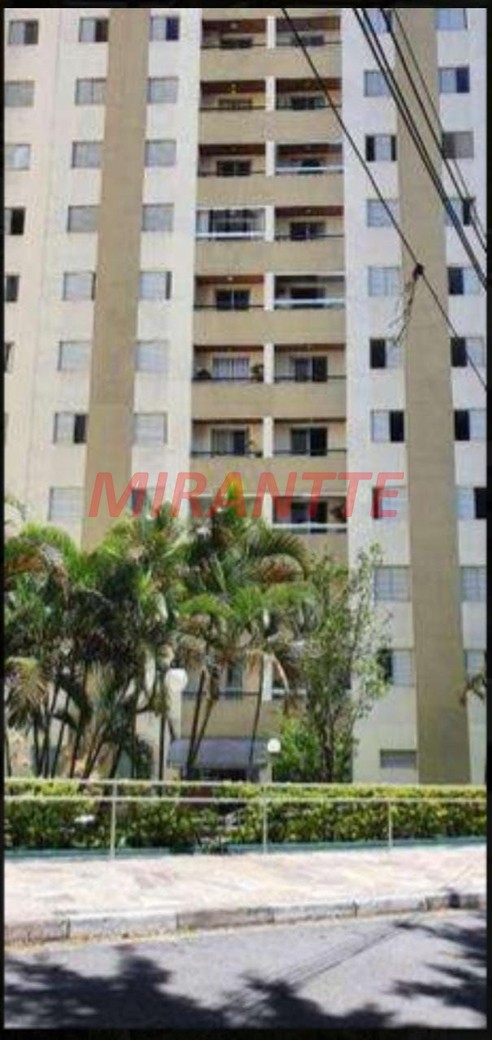 Apartamento de 62m² com 3 quartos em Cachoeirinha