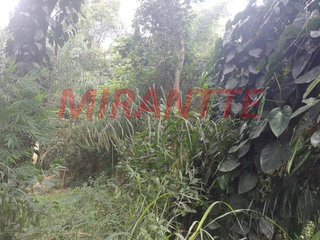 Terreno de 835m² em Serra Da Cantareira