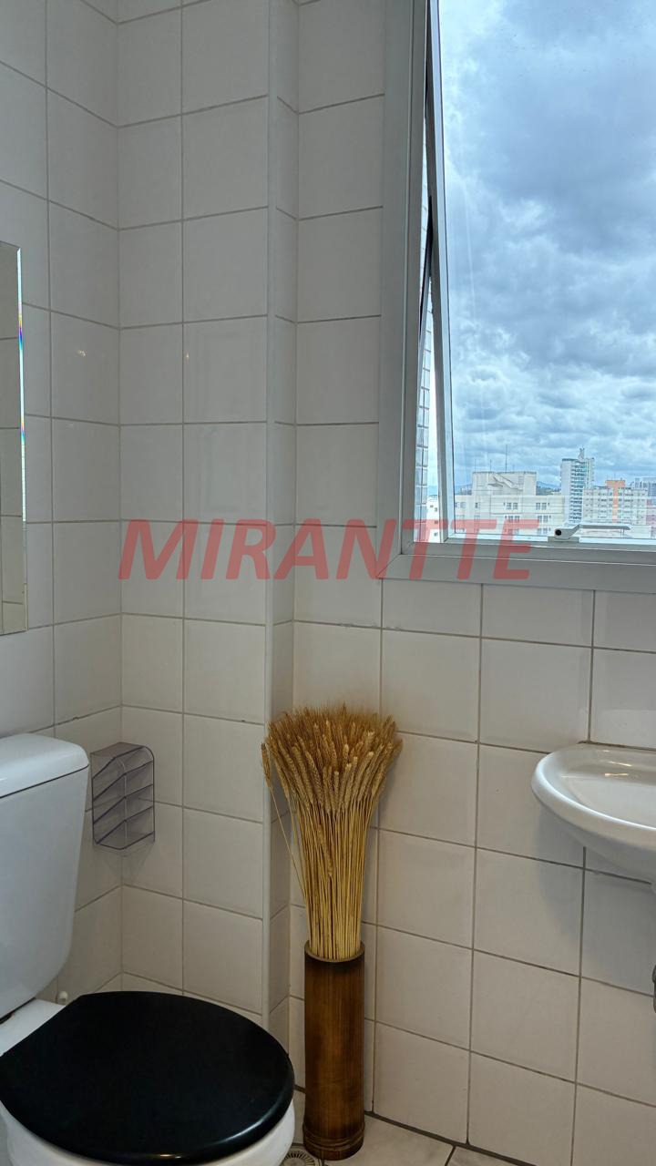 Conjunto comercial de 38m² em Água Fria