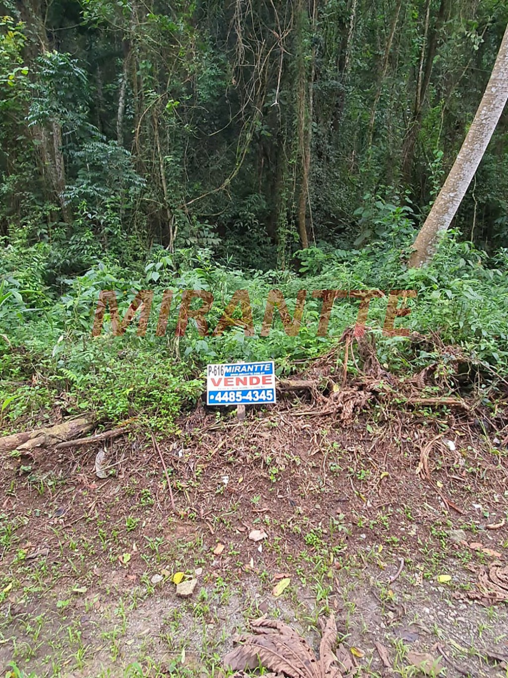 Terreno de 1m² em Serra da Cantareira