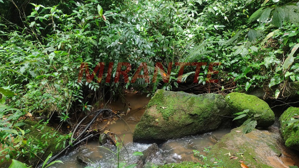 Terreno de 800m² em Santa Ines
