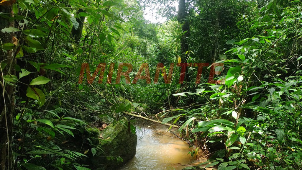 Terreno de 800m² em Santa Ines