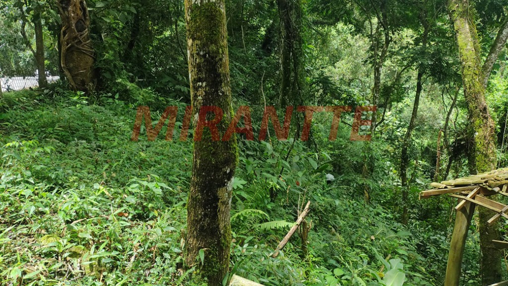 Terreno de 800m² em Santa Ines