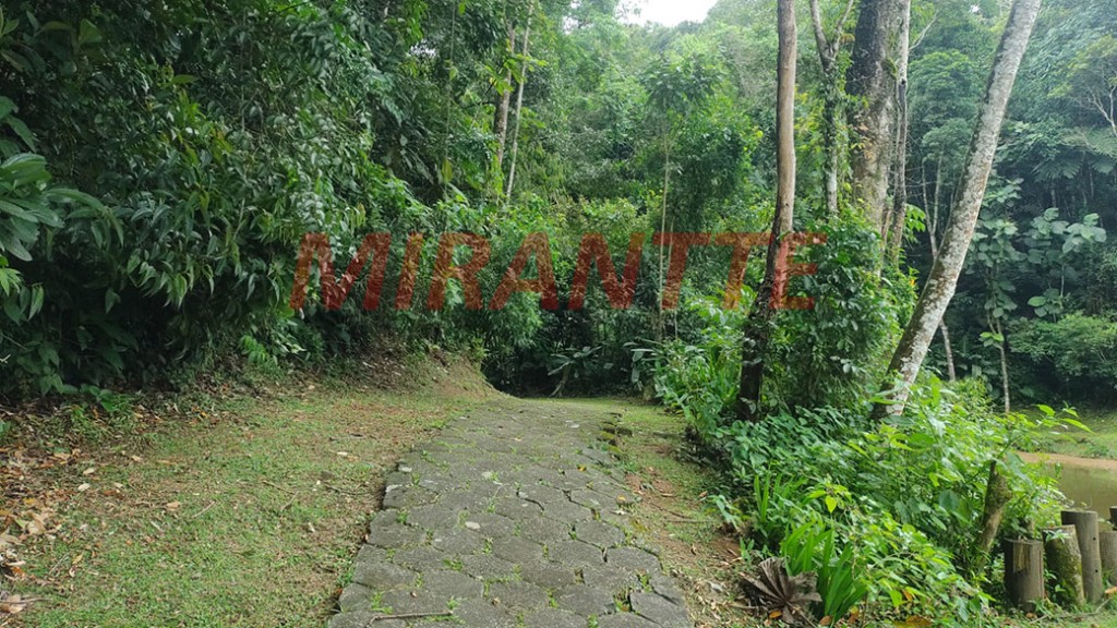 Terreno de 800m² em Santa Ines
