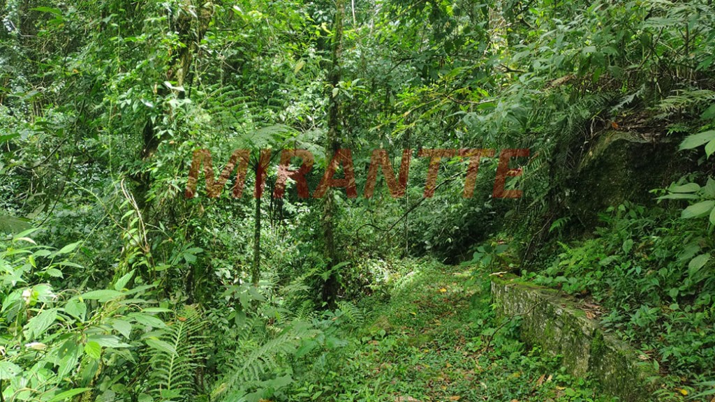 Terreno de 800m² em Santa Ines