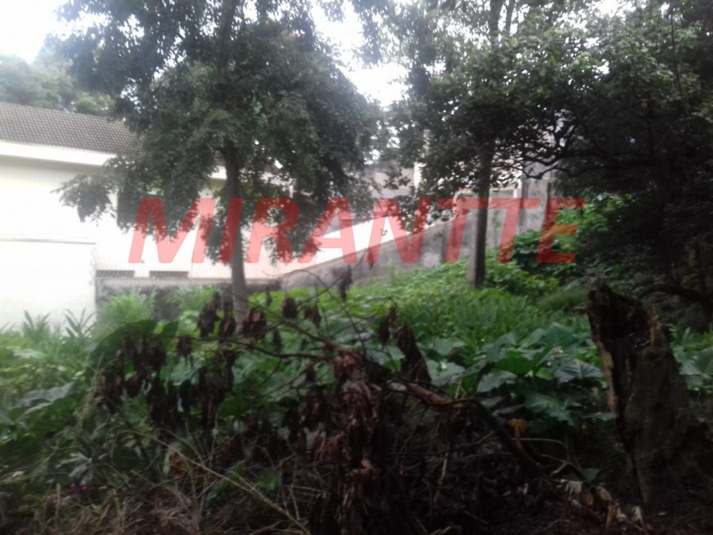 Terreno de 462m² em Horto Florestal
