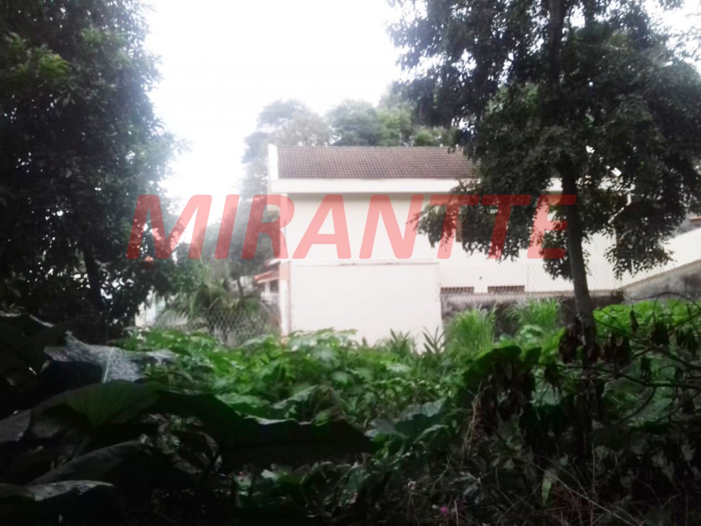 Terreno de 462m² em Horto Florestal