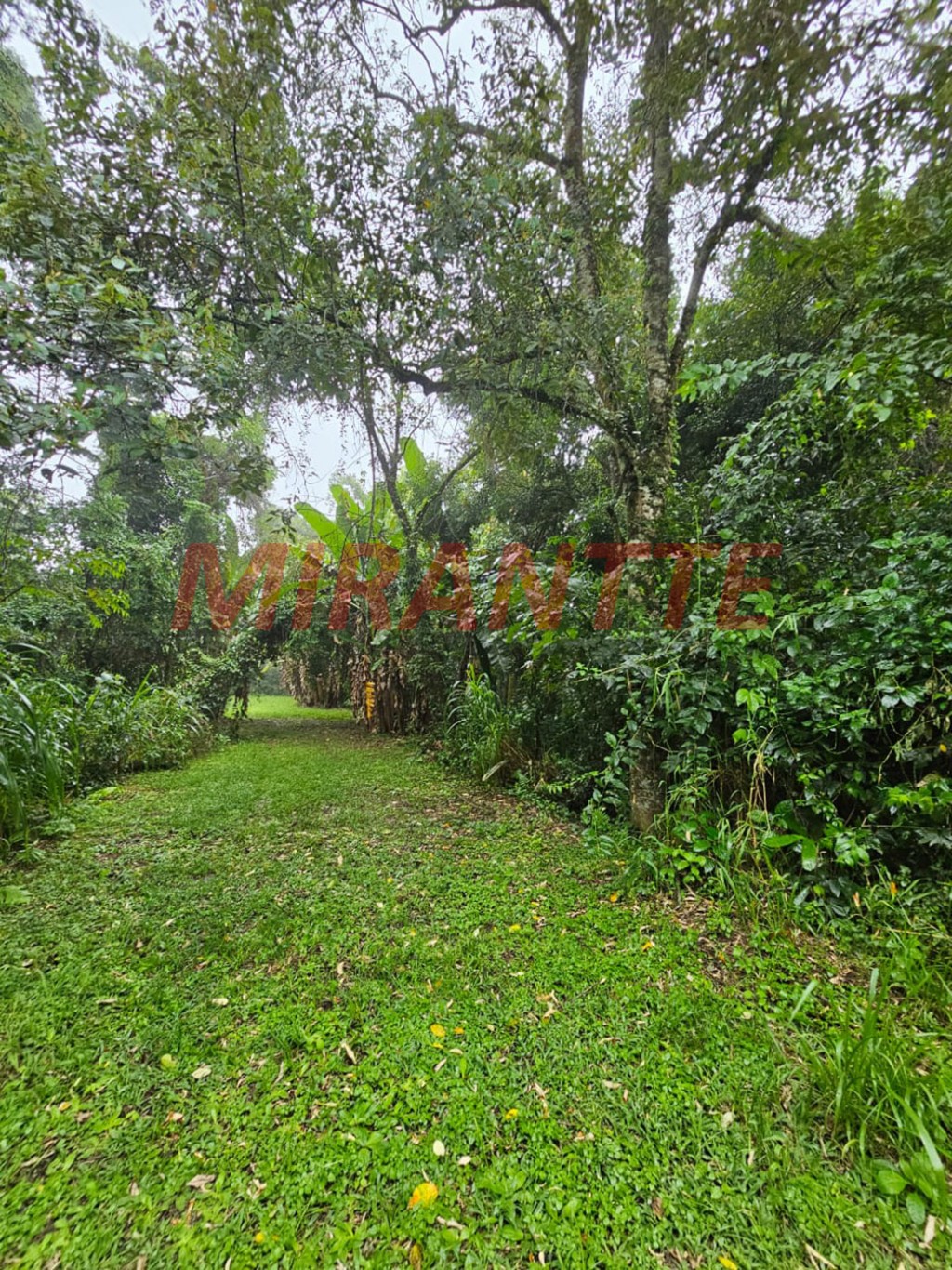 Terreno de 1.08m² em Serra Da Cantareira