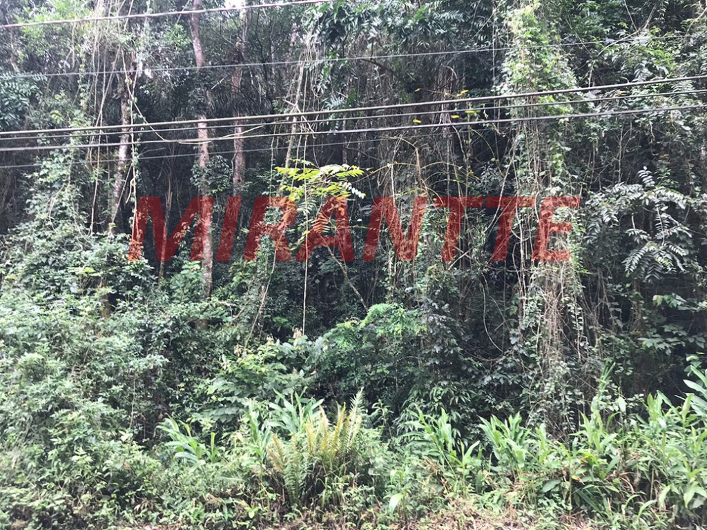 Terreno de 1159m² em Serra da Cantareira
