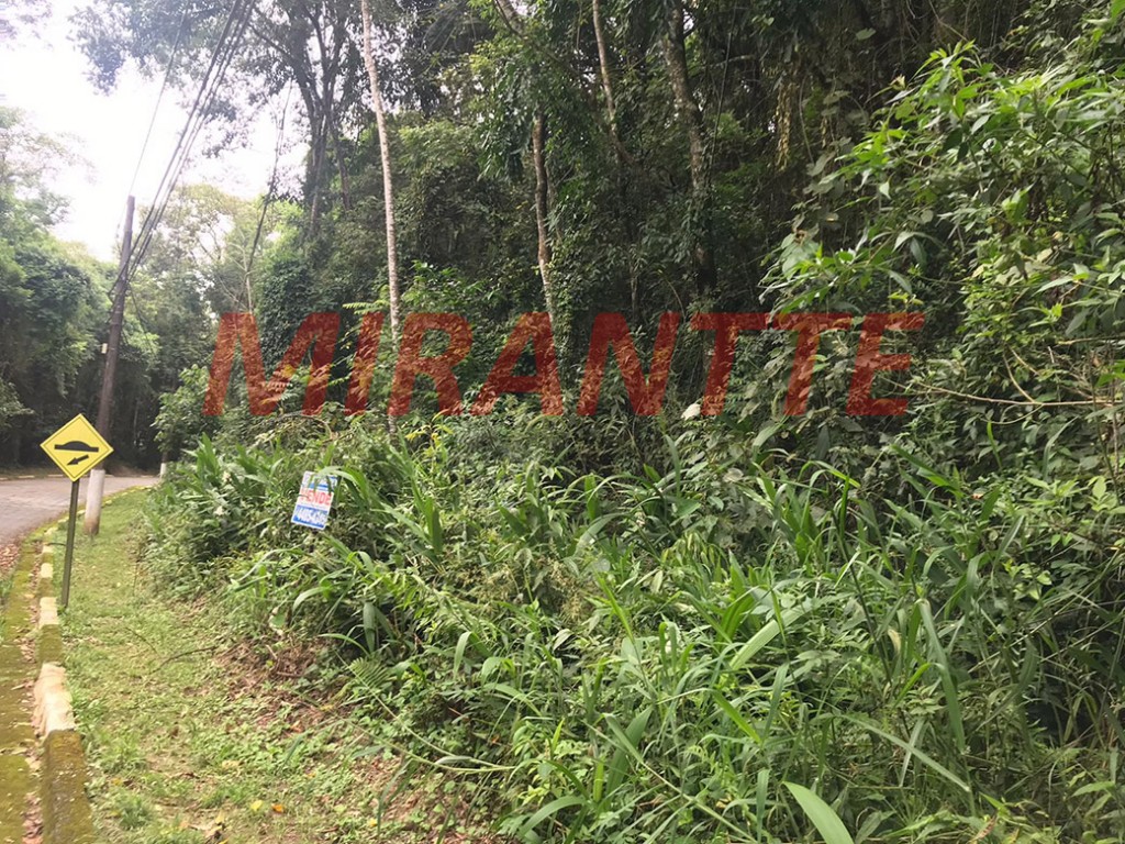 Terreno de 1159m² em Serra da Cantareira