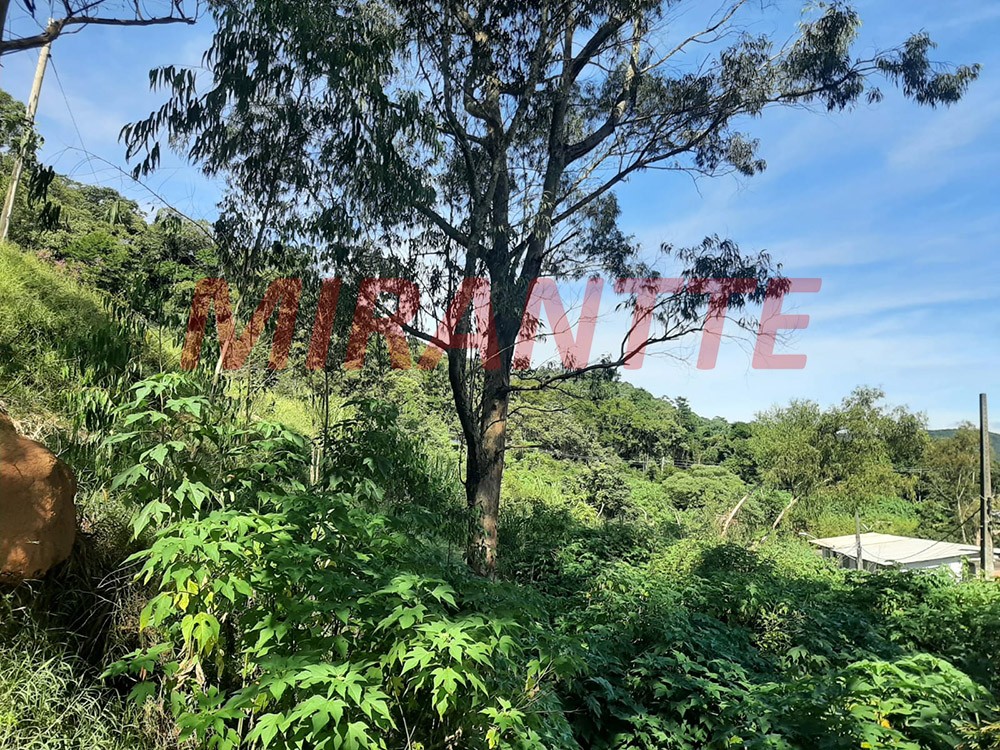Terreno de 297m² em SANTA INÊS