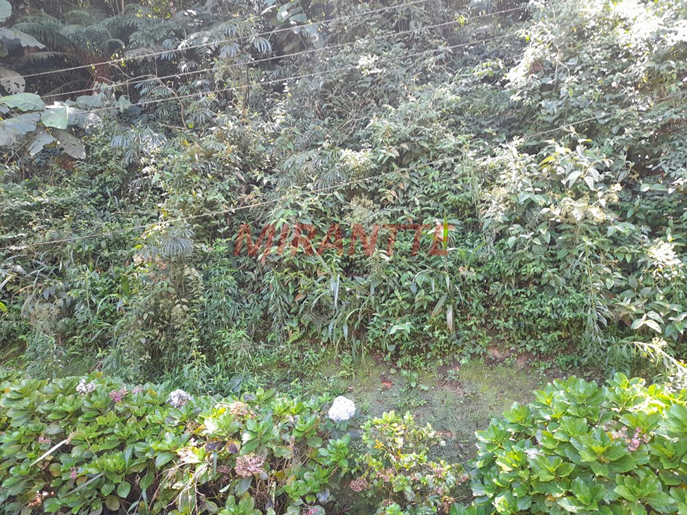 R2 Image 176023 #2