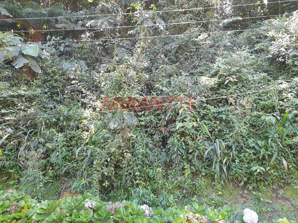 R2 Image 176023 #6