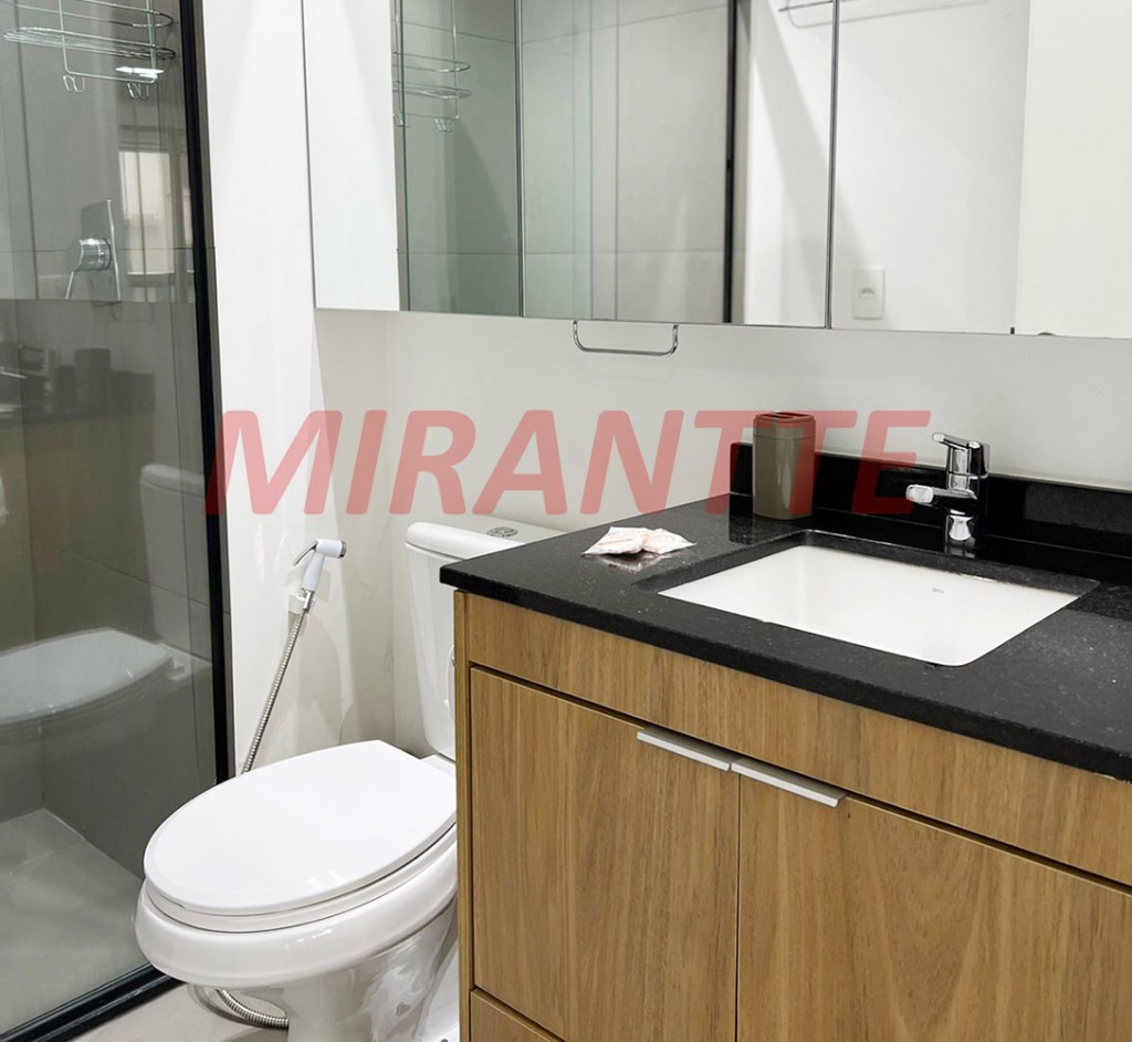 Apartamento de 39m² com 1 quarto em Santa Efigenia