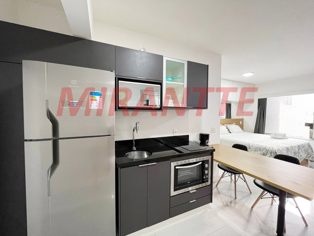 Apartamento de 39m² com 1 quarto em Santa Efigenia