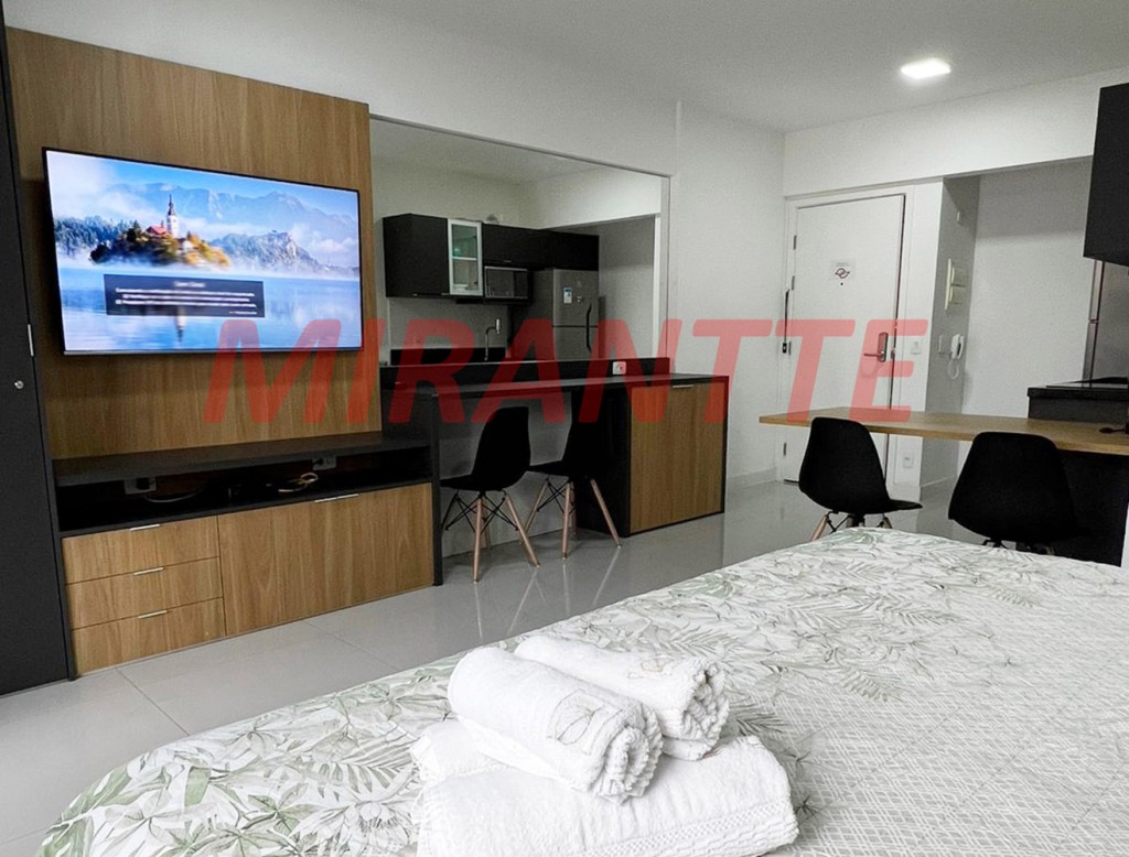 Apartamento de 39m² com 1 quarto em Santa Efigenia