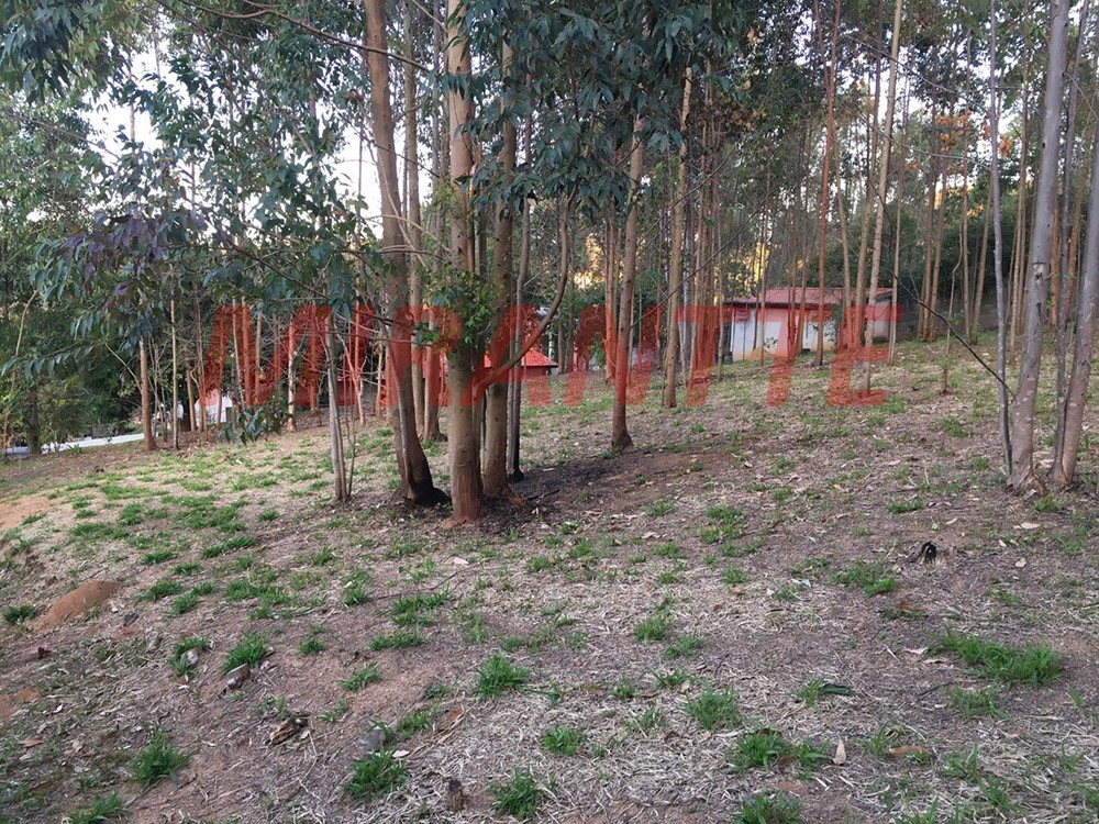 ChÁcara com 2 quartos em Terra Preta