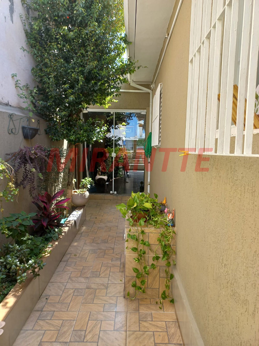Casa terrea de 253m² com 3 quartos em Vila Gustavo