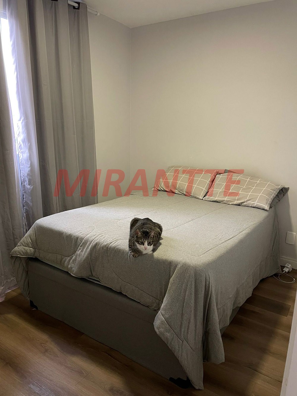 Apartamento de 40m² com 2 quartos em Vila Santos