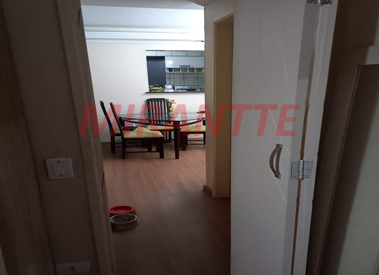 Apartamento de 52m² com 2 quartos em Jaraguá