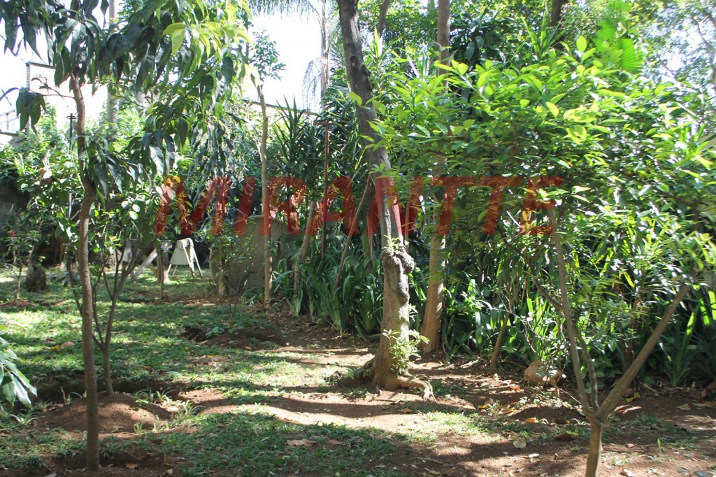 Apartamento com 2 quartos em Santana