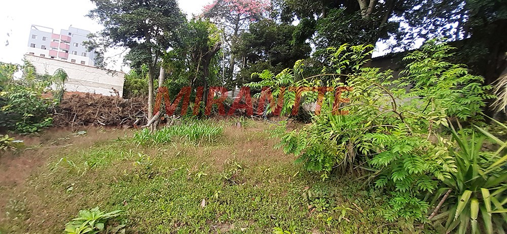 Terreno de 1400m² em Vila Amalia