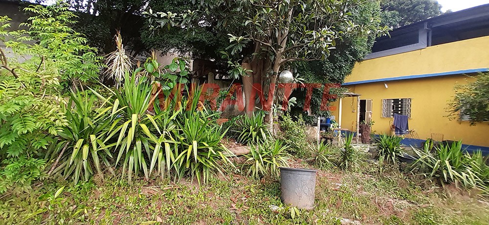 Terreno de 1400m² em Vila Amalia
