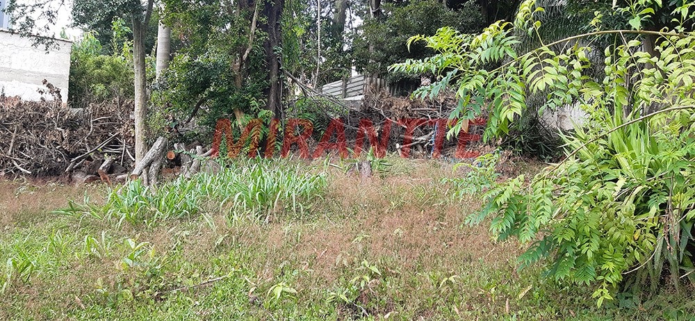 Terreno de 1400m² em Vila Amalia