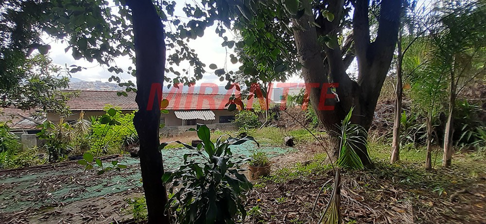 Terreno de 1400m² em Vila Amalia