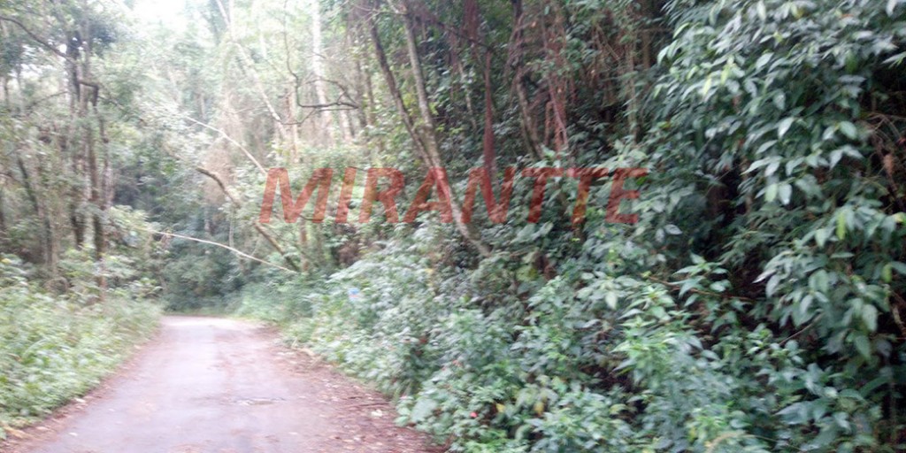 Terreno de 1980m² em Serra da Cantareira