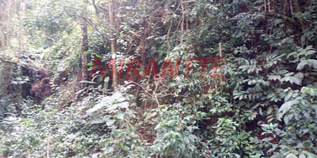 Terreno de 1980m² em Serra da Cantareira