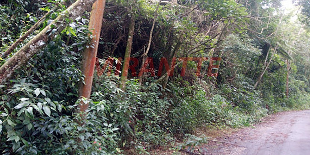 Terreno de 1952m² em Serra da Cantareira