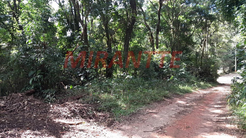 Terreno de 1589m² em Serra Da Cantareira