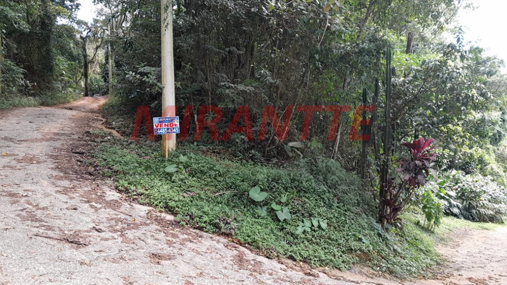 Terreno de 1589m² em Serra Da Cantareira