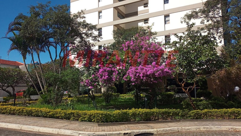 Apartamento de 74m² com 3 quartos em Água Fria